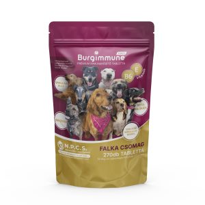 Burgimmune FORTE Tabletta – Falka Csomag