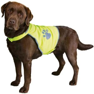 MancsBrancs Téli Overál – Mustársárga, Bélelt