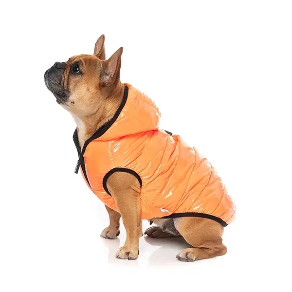 RainDogz Esőkabát Kutyáknak – Citromsárga XL - Kép 1