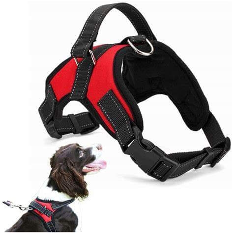 Snaxi Flake - Kép 1