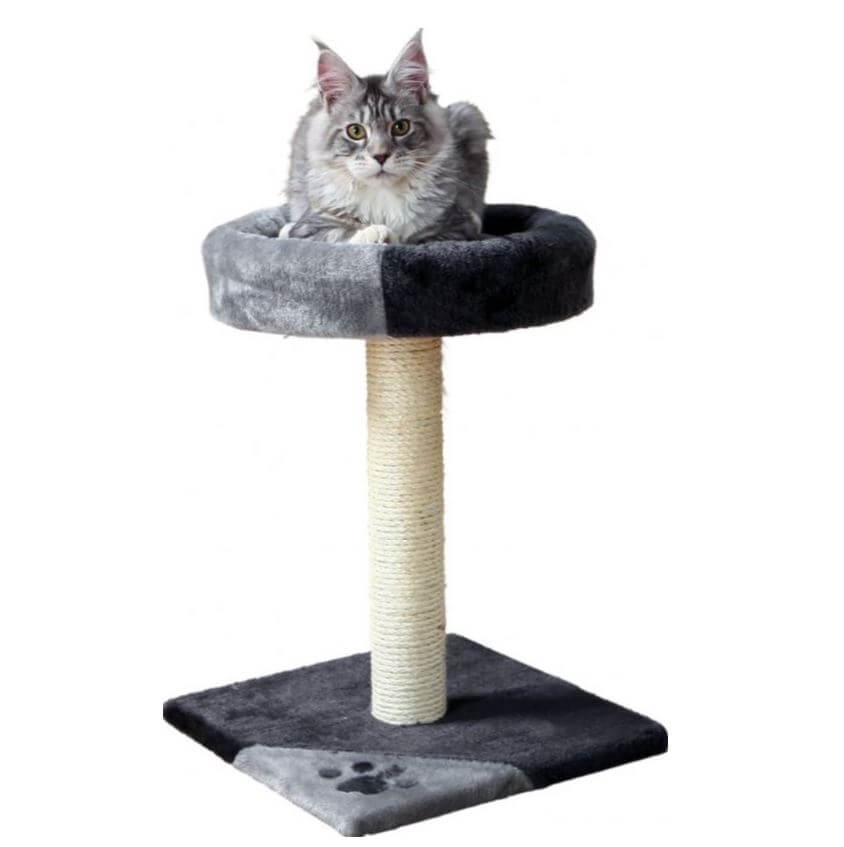 Trixie Tarifa kaparófa 52cm