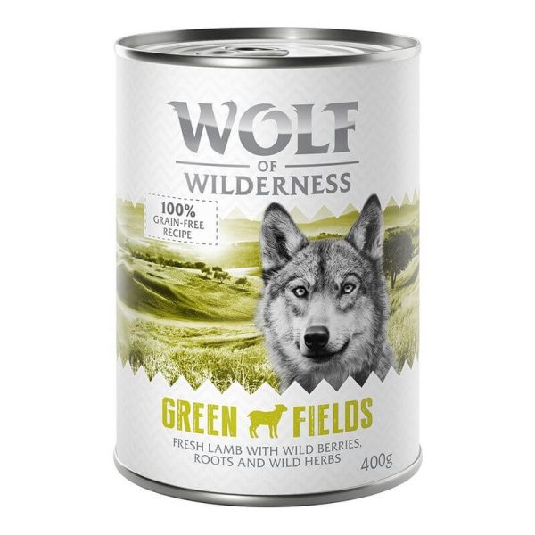Wolf of Wilderness